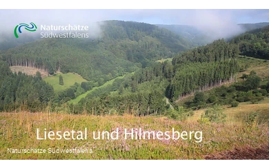 Liesetal und Hilmesberg - Naturschätze Südwestfalens