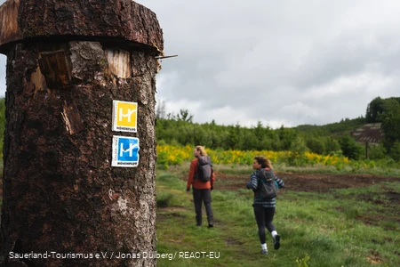 Markierungszeichen im Vordergrund mit zwei Wanderern onerhalb von Sundern-Hagen