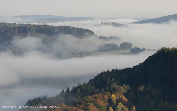 Blick auf die Nebelfelder im Tal