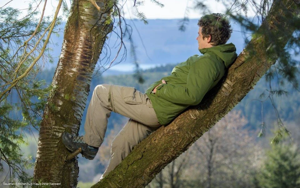 Ein Wanderer genießt in einem Baum die Aussicht