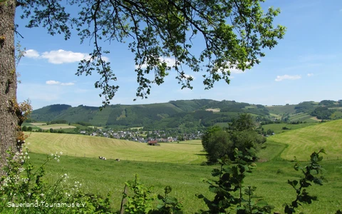 Blick in die Ferienregion Eslohe