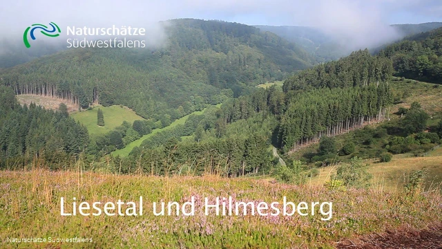 Liesetal und Hilmesberg - Naturschätze Südwestfalens