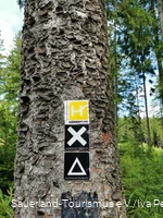 Sauerland-Höhenflug Wanderzeichen an einem Baumstamm befestigt.